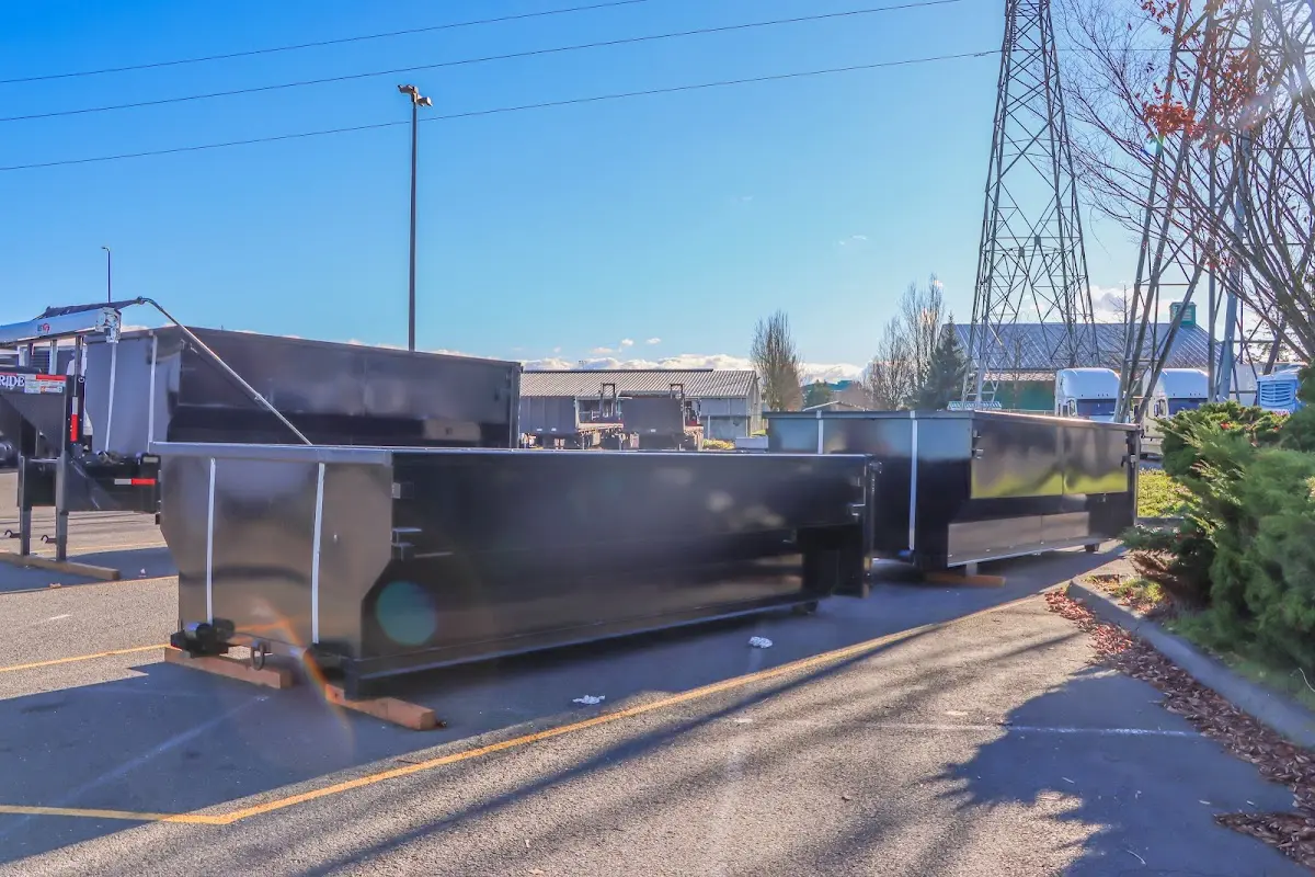 Professional dumpster rental and junk removal service in Raisin